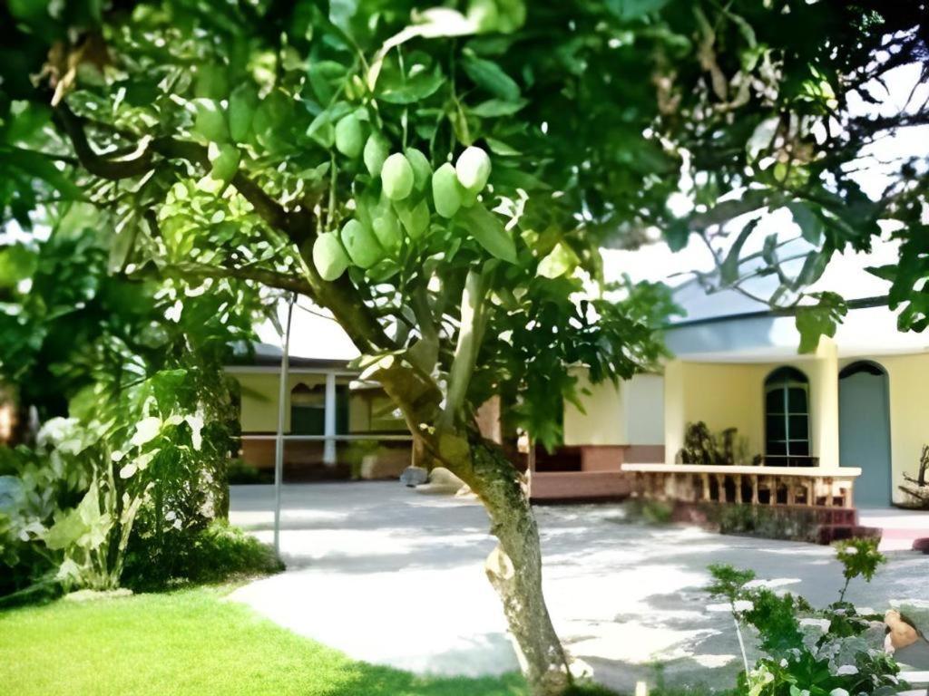 Hotel Indra Djaya Cisarua Esterno foto